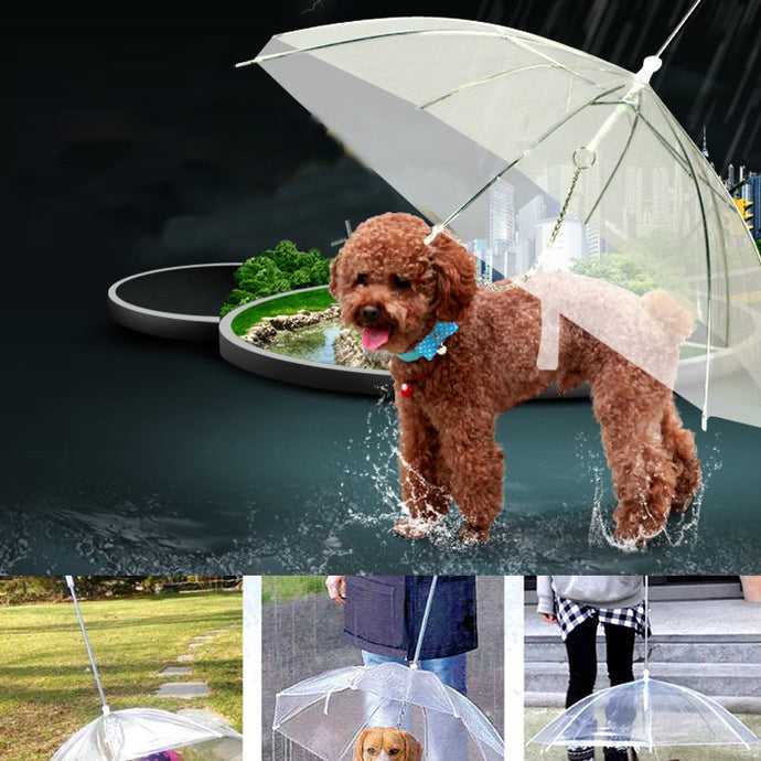 Transparent PE Pet Umbrella Keeps Pet Dry Comfortable in Rain Snowing Sleet Convenient Umbrella Rain Gear with Dog Leads