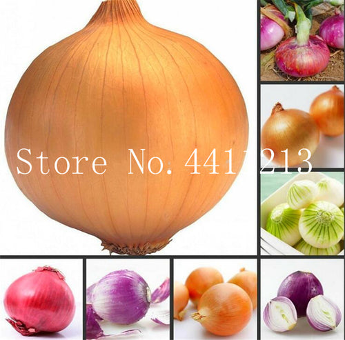 Big promotion! 200 Pcs/bag Fresh Giant Purple Onion Bonsai Vegetable Plant 95%+ Germination, Vegetable Onion For Home Garden